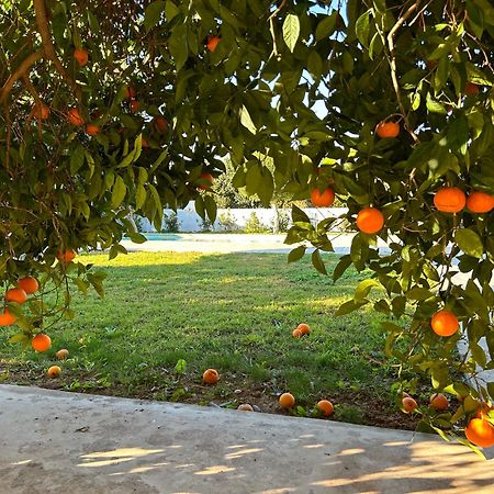 Апартаменти The Orange Garden Нафпліон Екстер'єр фото
